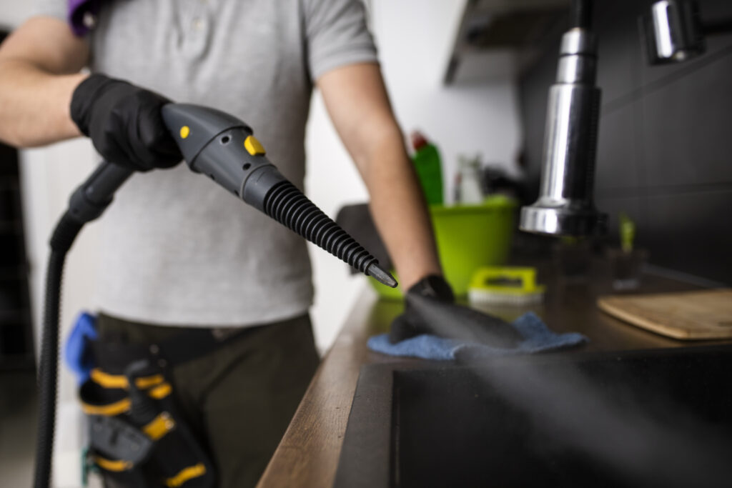 Recurring Cleaning